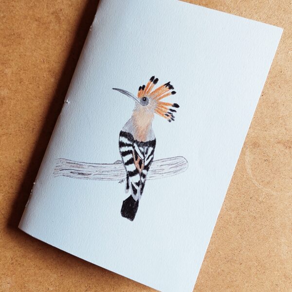 cahier format a5 22 pages- huppe fasciée recto et plumes verso - 2025