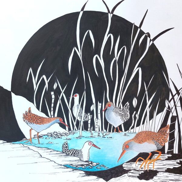 réunion de râle / encre, crayon et stylo / 29,7 x 42 cm / 2023