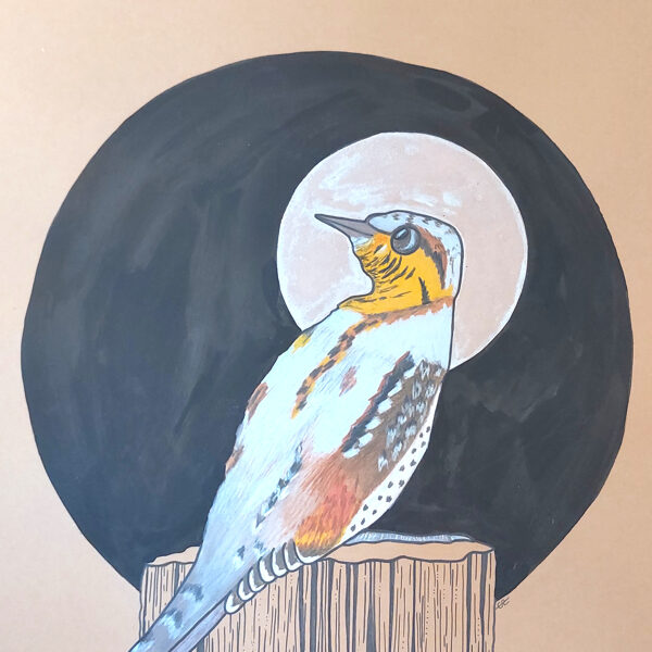 torcol / encre, crayon et stylo / 29,7 x 42 cm / 2023