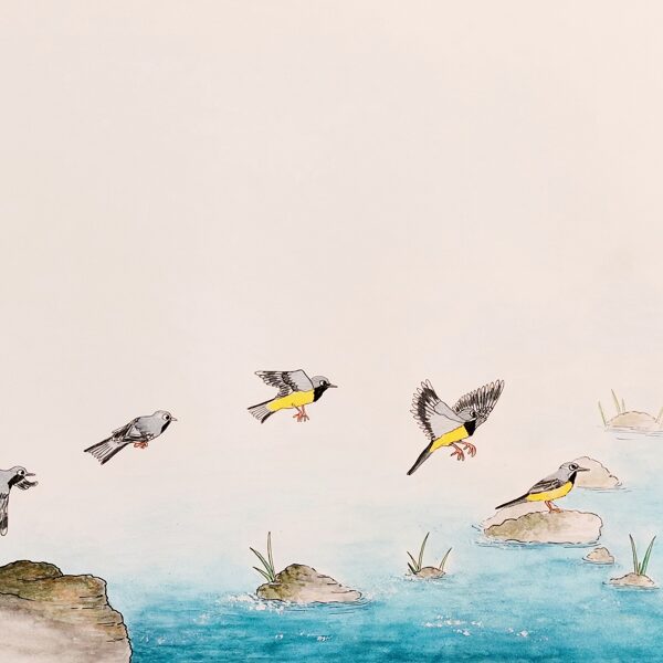 bergeronnette / aquarelle, crayon et stylo / 29,7 x 42 cm / 2024