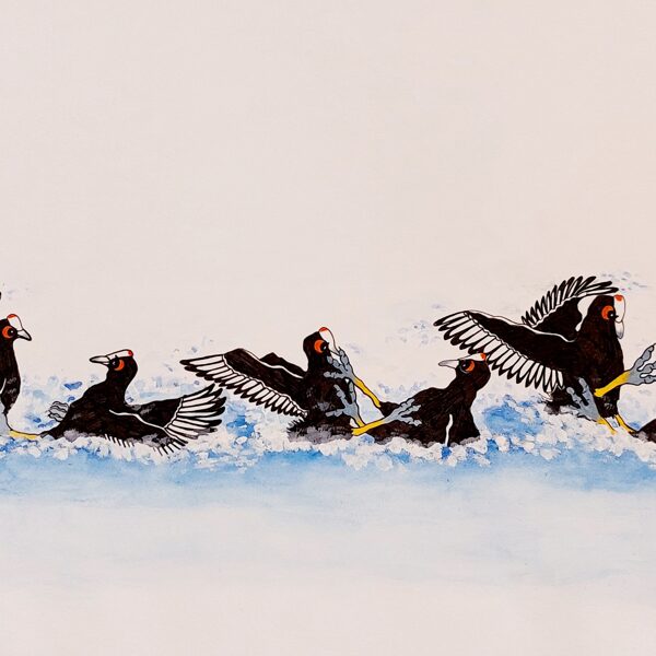 foulque / aquarelle, peinture, crayon et stylo / 29,7 x 42 cm / 2024