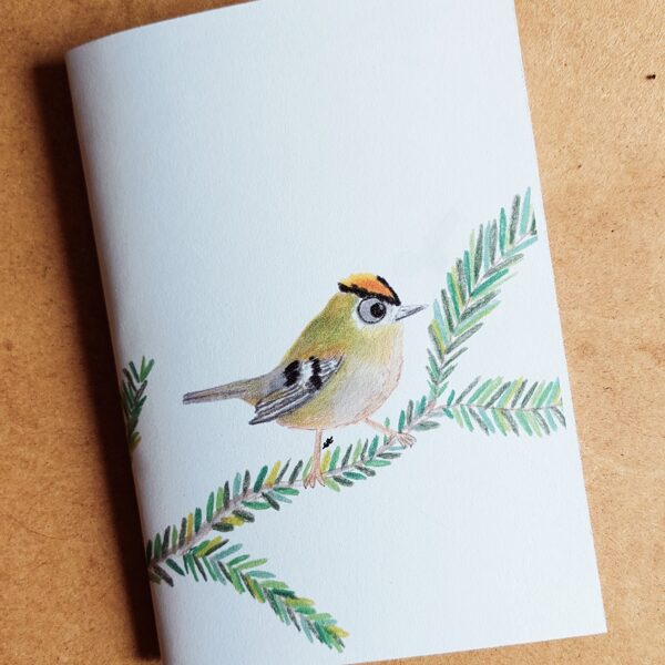 cahier format a5 22 pages- roitelet recto et sapin verso - 2025