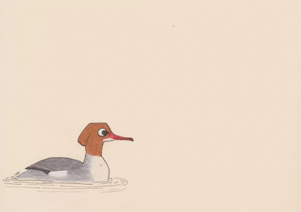 Harle bièvre / crayon et stylo / 14,8 x 21 cm / 2023