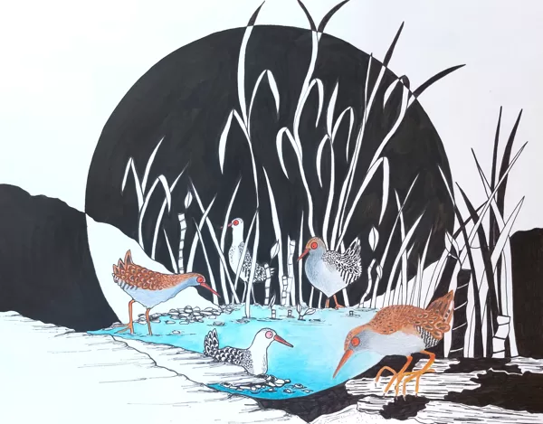réunion de râle / encre, crayon et stylo / 29,7 x 42 cm / 2023