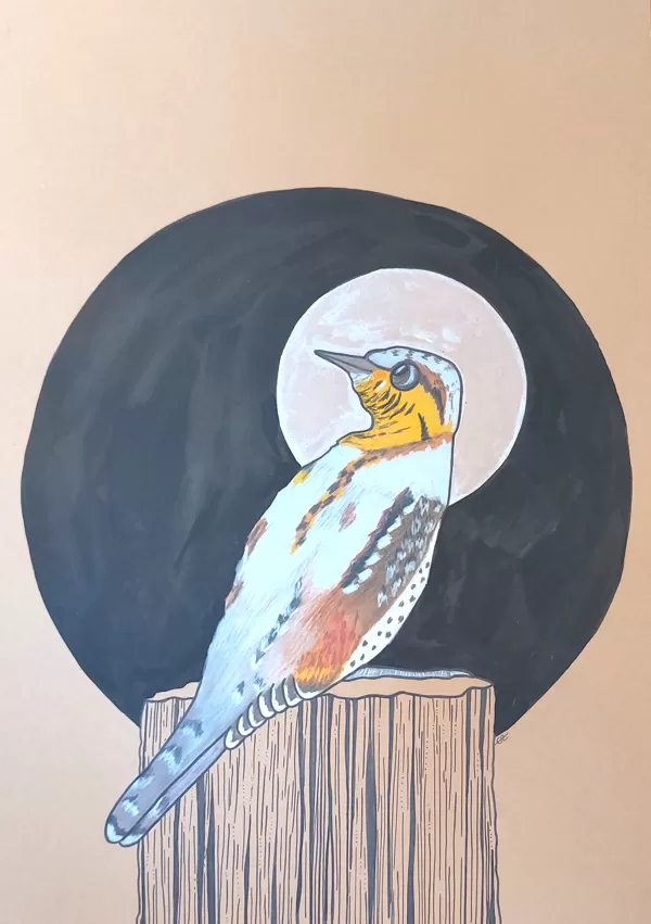 torcol / encre, crayon et stylo / 29,7 x 42 cm / 2023