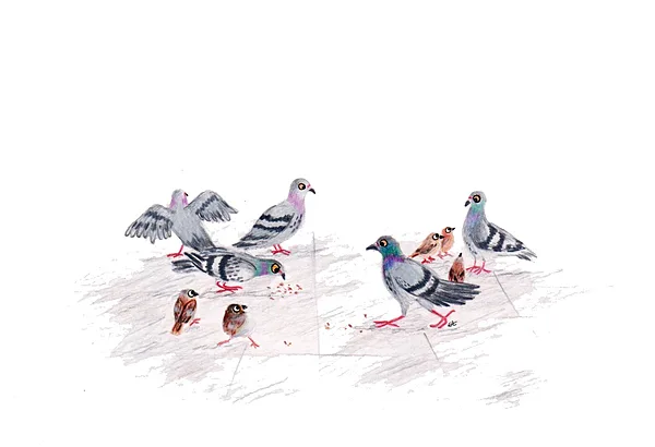 pigeons et moineaux / crayon et stylo / 14,8 x 21 cm / 2025